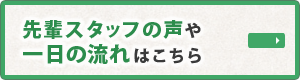 先輩スタッフの声や一日の流れはこちらから